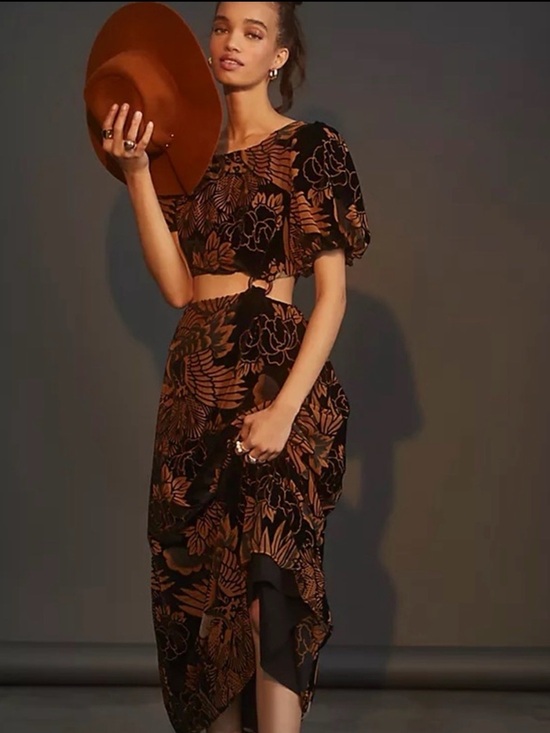 Anthropologie Dresses & Skirts - Anthropologie Let Me Be Burnout Velvet Cut Out Maxi Dress XL